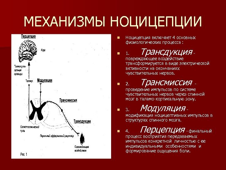 из общедоступных источников