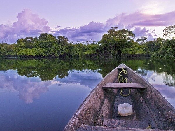     фото: Fotolia.com