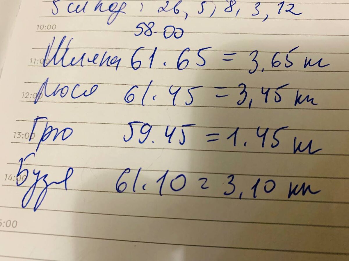 Расчет граммовки для котов с обработкой от гельминтов