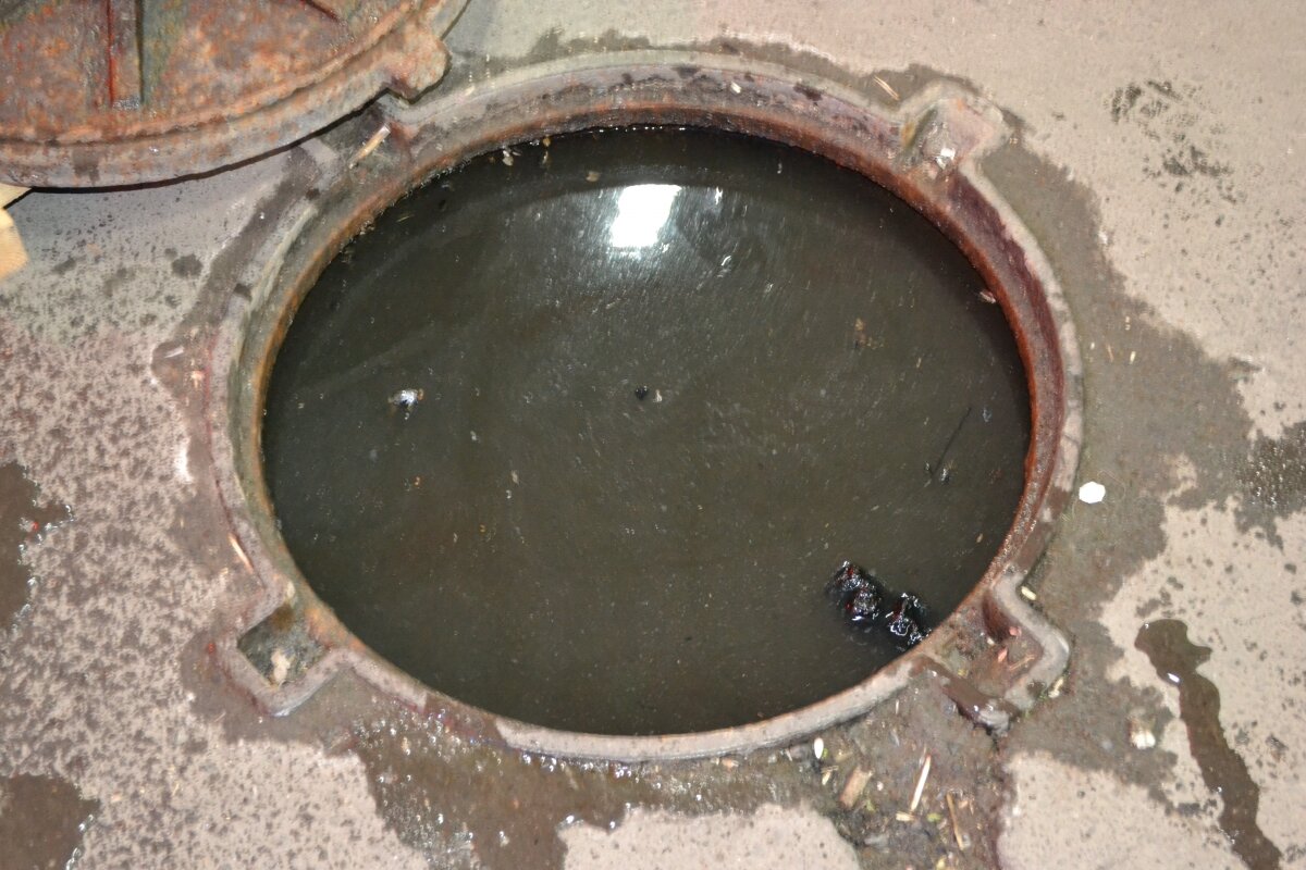 Фото взято из поисковика