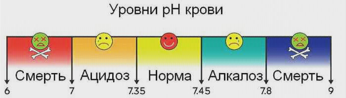 PH - кислотно-щелочной баланс | ЗОЖ-ЕЖ | Дзен