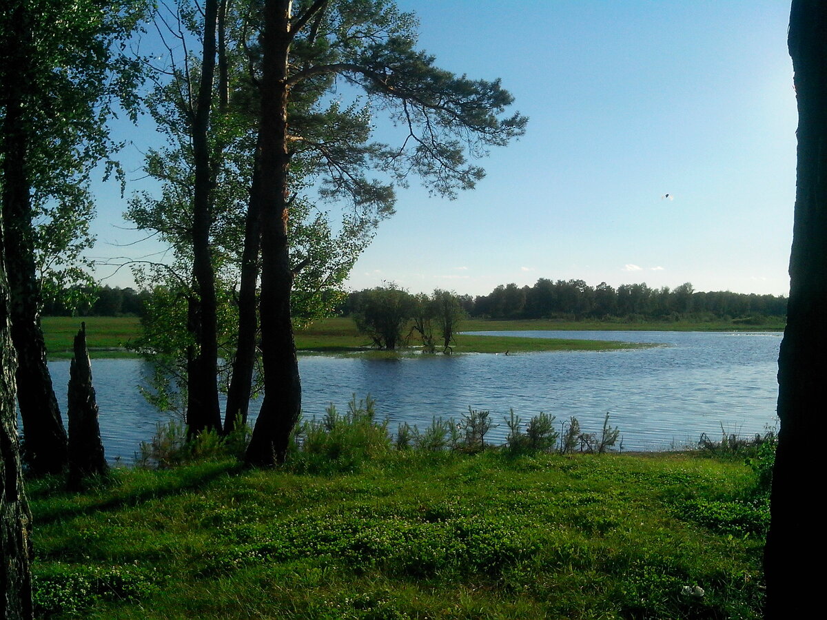 Красота в шаговой доступности!