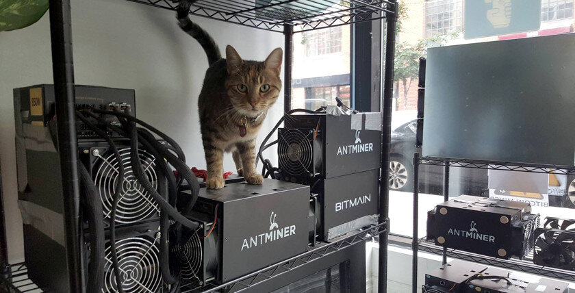 Популярные ASIC от Bitmain, цена стартует от 300$