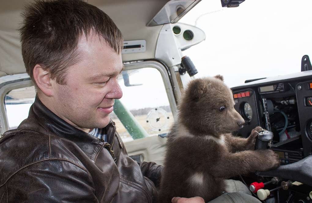 Андрей Иванов опекун медвежонка Мансур. 2015 год. © Фото из архива Андрея Иванова