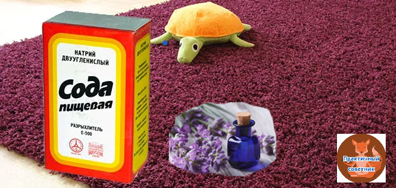 Чистим ковер содой и маслом лаванды