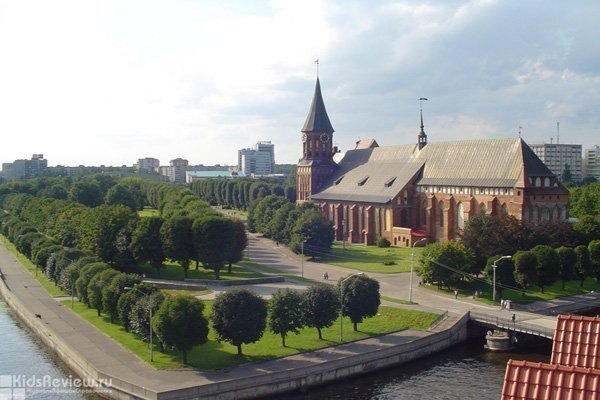 Снимок с сайта: KidsReview.ru