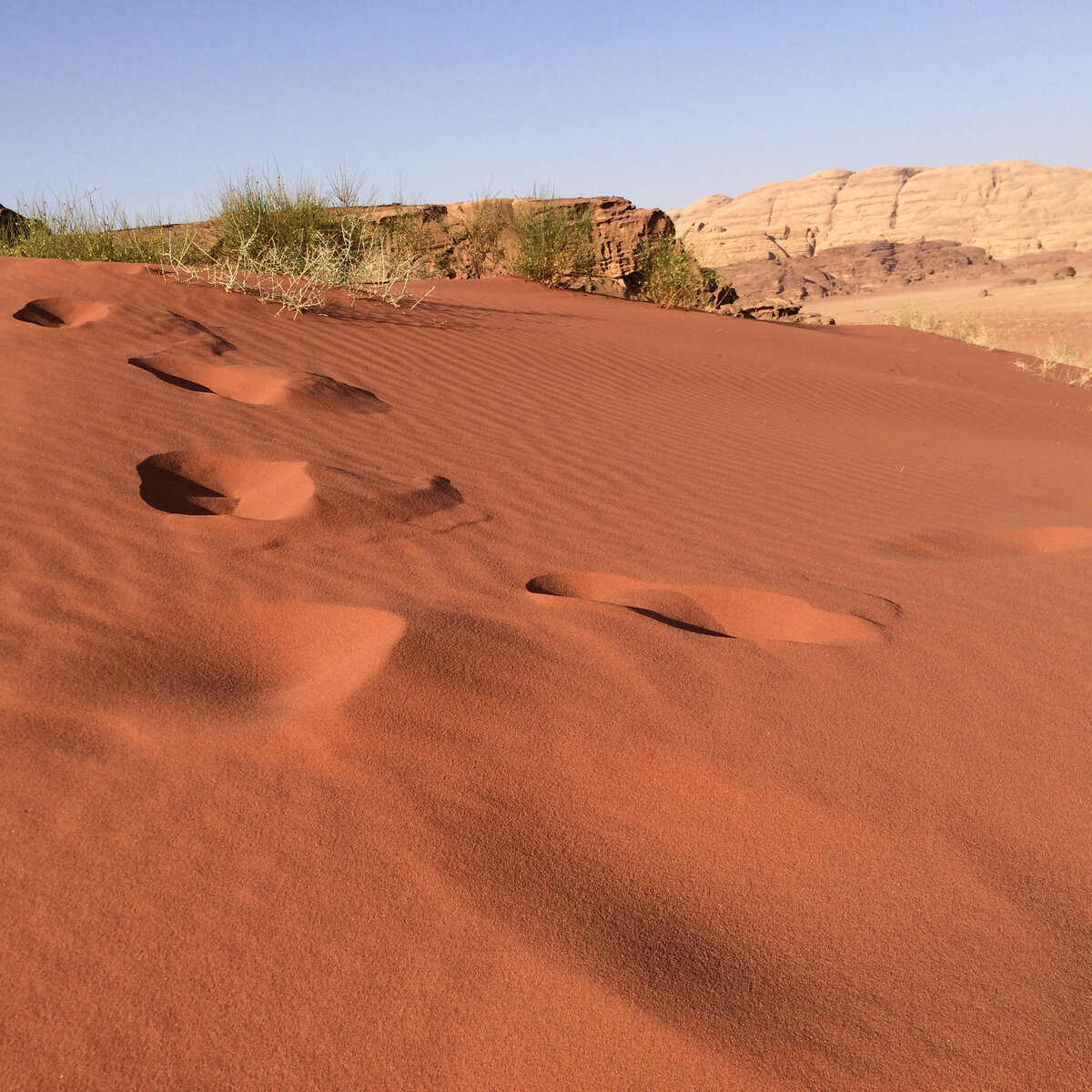 красная дюна