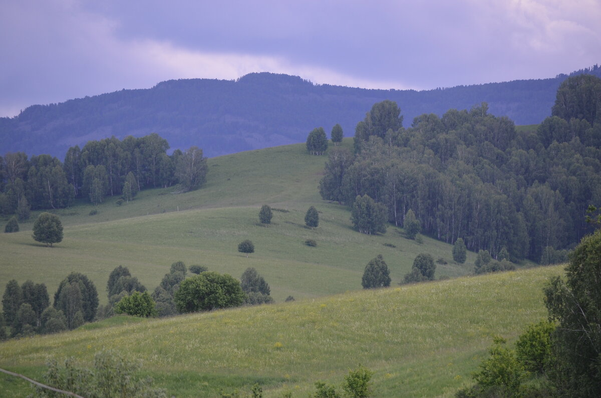 Погода село карпово алтайский край