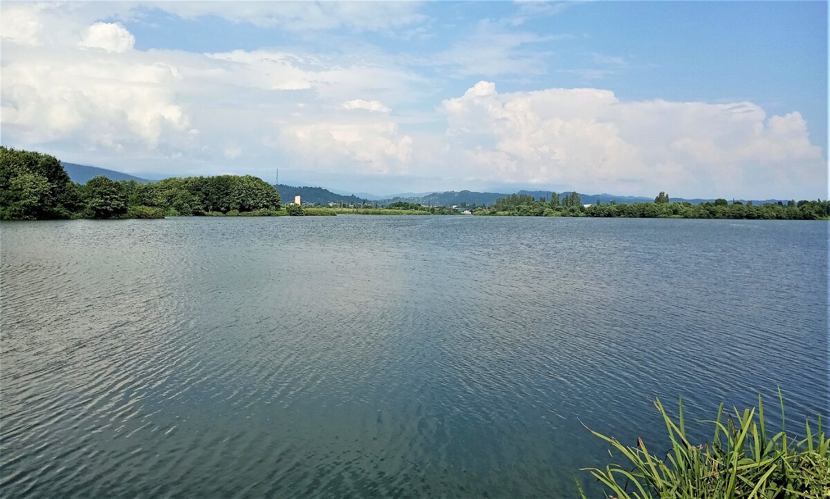 Непримечательное Сухумское озеро (Абхазия, Сухум) | Путевые заметки | Дзен