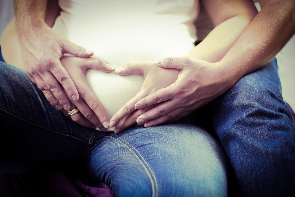 https://pixabay.com/ru/photos/baby-%D0%B6%D0%B8%D0%B2%D0%BE%D1%82-%D0%B1%D0%B5%D1%80%D0%B5%D0%BC%D0%B5%D0%BD%D0%BD%D1%8B%D0%B5-%D1%80%D0%BE%D0%B6%D0%B4%D0%B5%D0%BD%D0%B8%D0%B5-1533541/