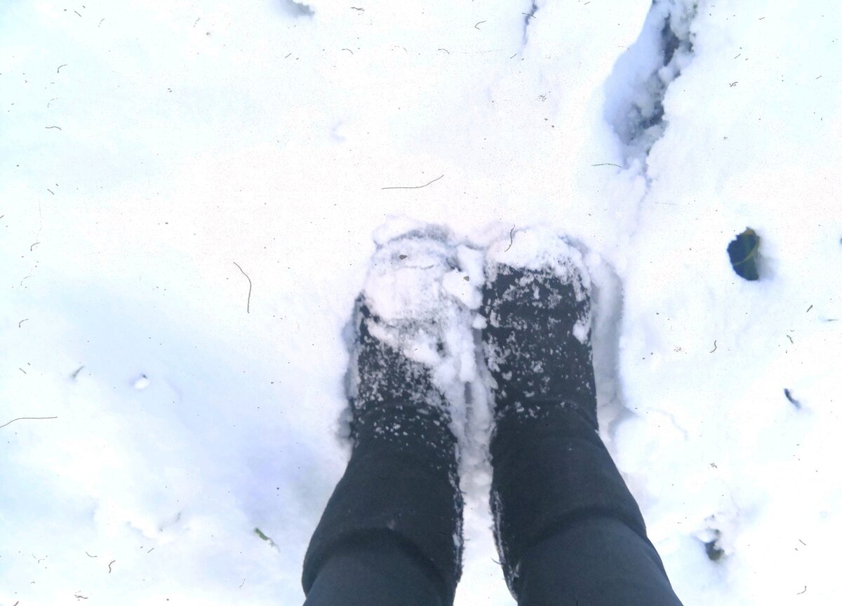 фотографии сделаны автором канала