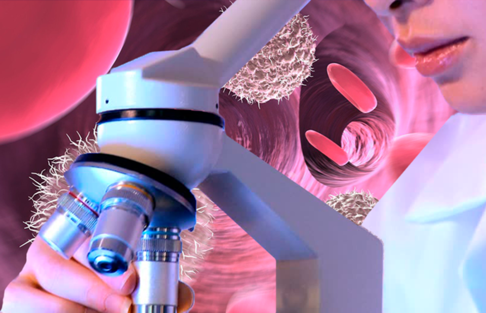 krimchel.ru/federalnye/11019-izrailskie-uchenye-poobeshchali-lekarstvo-protiv-raka-cherez-god-eksperty-nastroeny-skepticheski