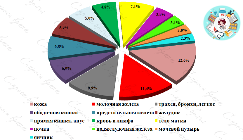                Процентное соотношение видов рака по локализации среди ОБЕИХ ПОЛОВ