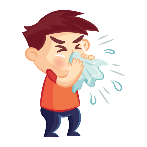 Источник :Яндекс. Картинки 