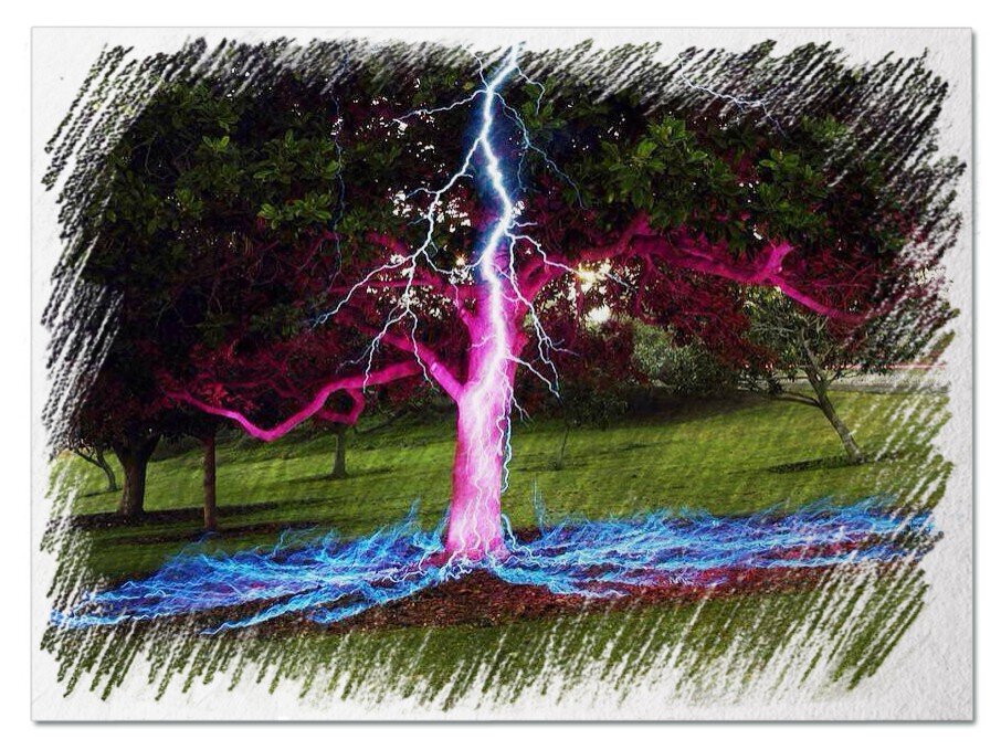 Фото Дмитрия Саврацкого