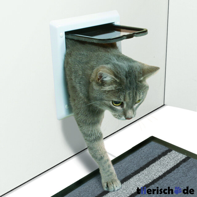 "Дверь в двери" должна быть на каждой даче, где на зиму остаются кошки