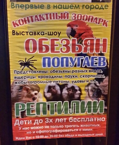 Почему детей до 3-х лет бесплатно?