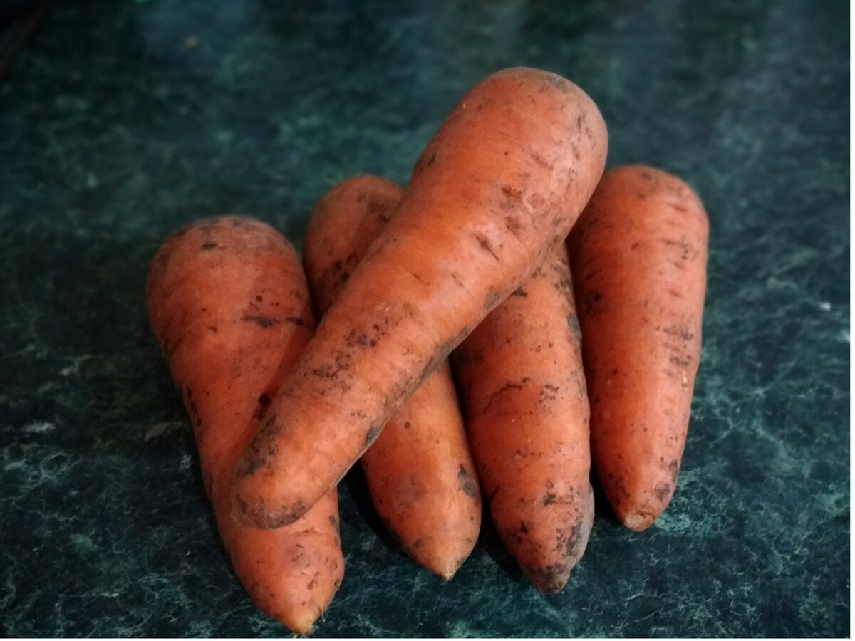 Что я делаю, чтобы морковь не прорастала во время хранения