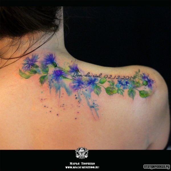 
Древние греки сочинили много мифов об этом удивительном цветке глубокого синего цвета. Согласно одному из них, кентавр по имени Херон, получивший рану от отравленной стрелы, вылечился с помощью экстракта из василькового сока. Поэтому василек греки считали цветком кентавра.
По другой легенде, юноша Цианус очень любил полевые васильки. Он собирал все цветки, которые только мог найти и делал из них красивые гирлянды и венки на голову. Еще он ходил в одежде любимого василькового цвета.