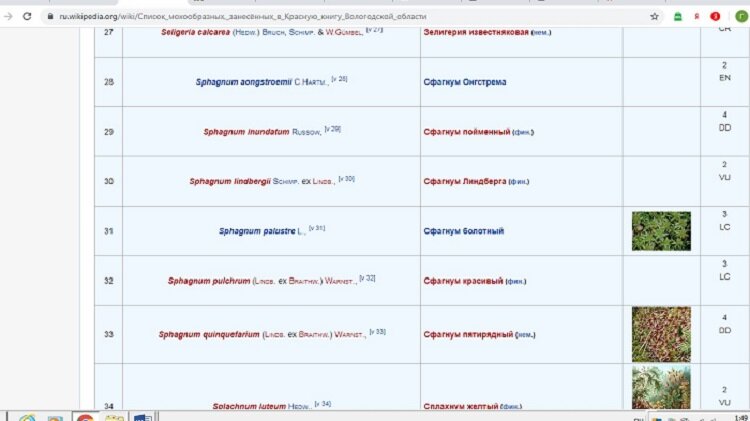 Виды сфагнума, занеченные в Красную книгу Вологодсой области