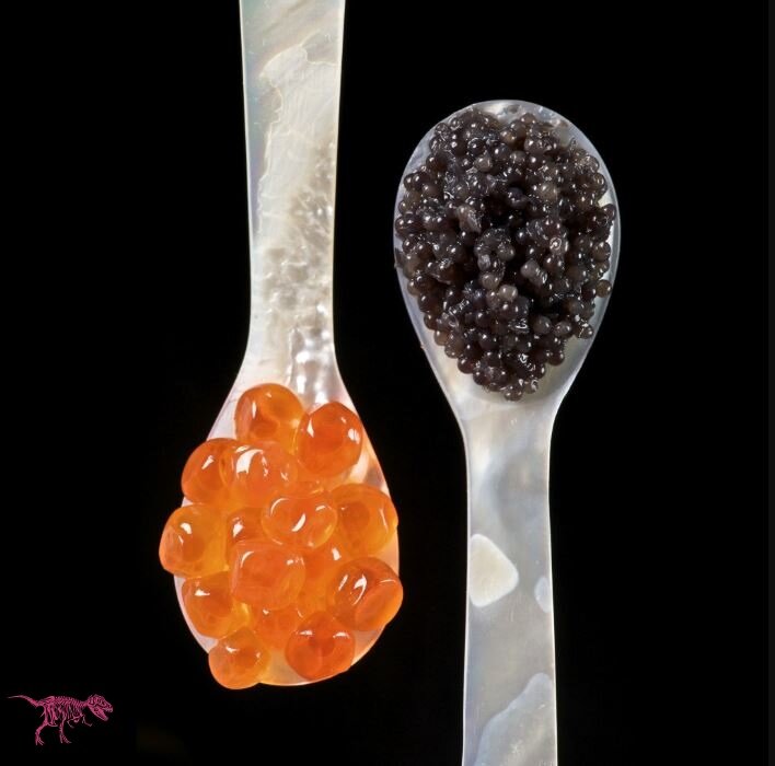 Наши предки уже в 4 тысячелетии до нашей эры ели икру.