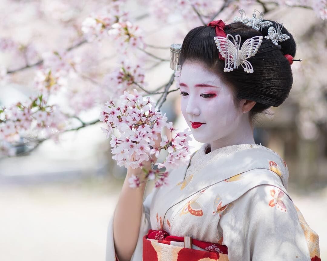 Гейша:искусство обольщения по-японски | Тайны Японии | Дзен
