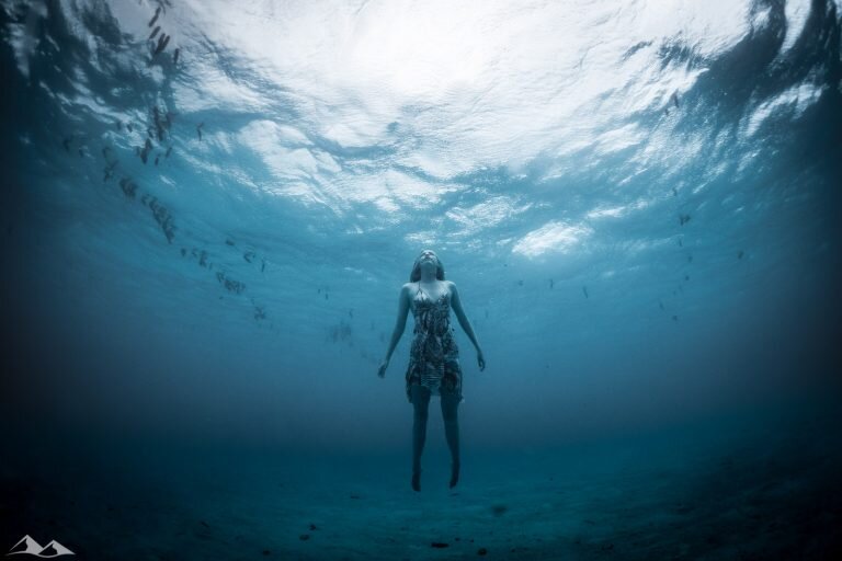 зята из свободного доступа яндекс картинки