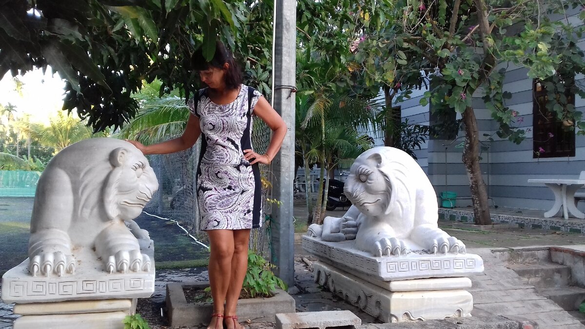 Что же выбрать: Дзен или ВКонтакте??