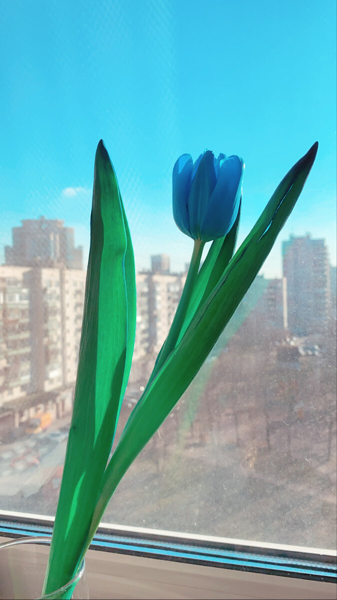 Весна близко