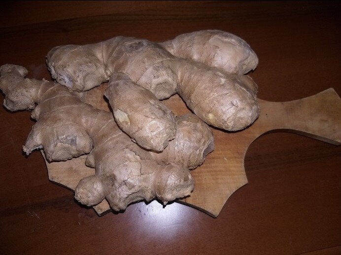 Так выглядит корень имбиря.