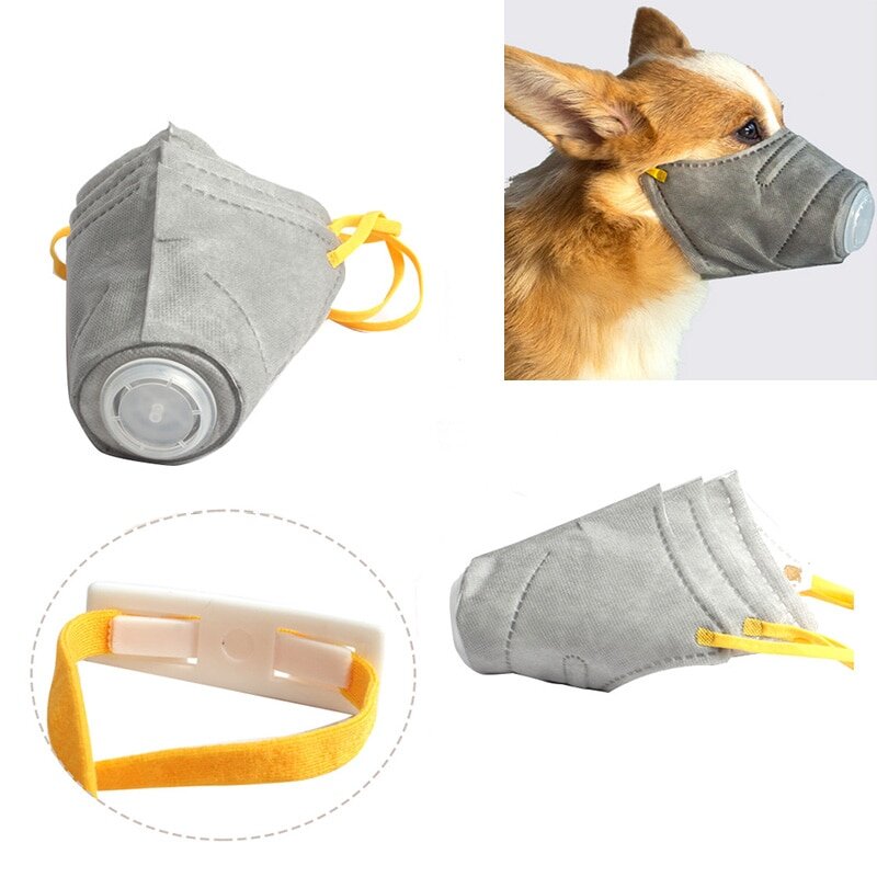 Источник: https://yandex.ru/images/