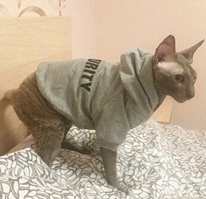 Фото взято с aliexpress.ru