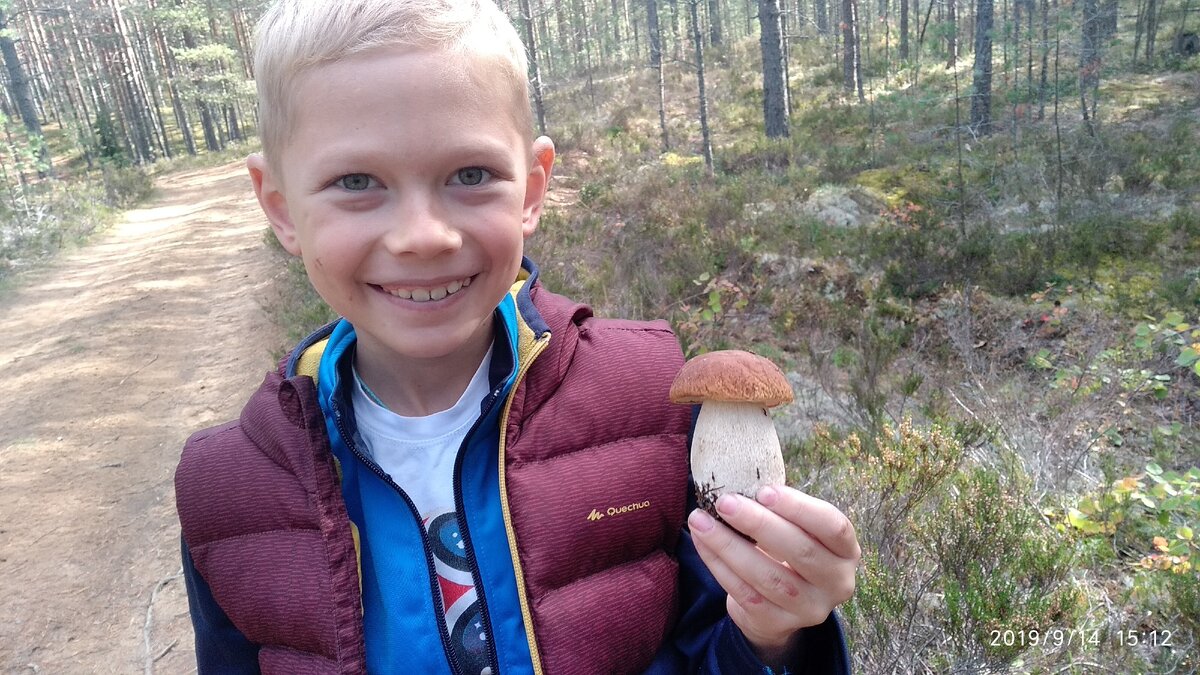 вот такое чудо нашел наш сын по пути на Лампушку