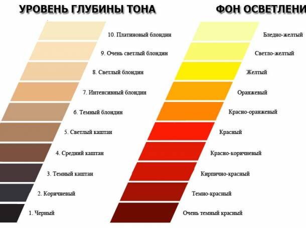 Basic of coclor. Основы колористики и окрашивания волос