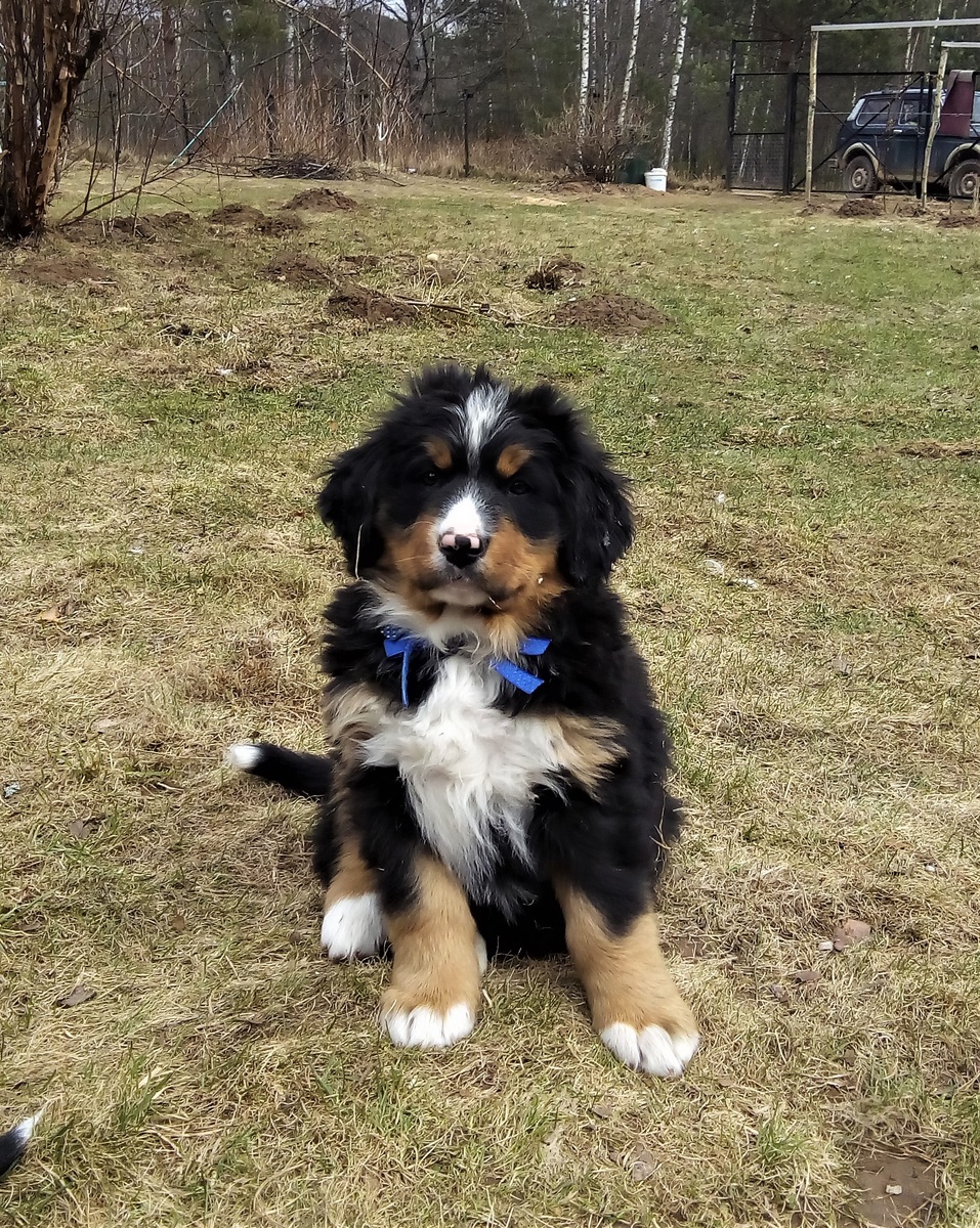 Панкратик там еще фотки, листайте!