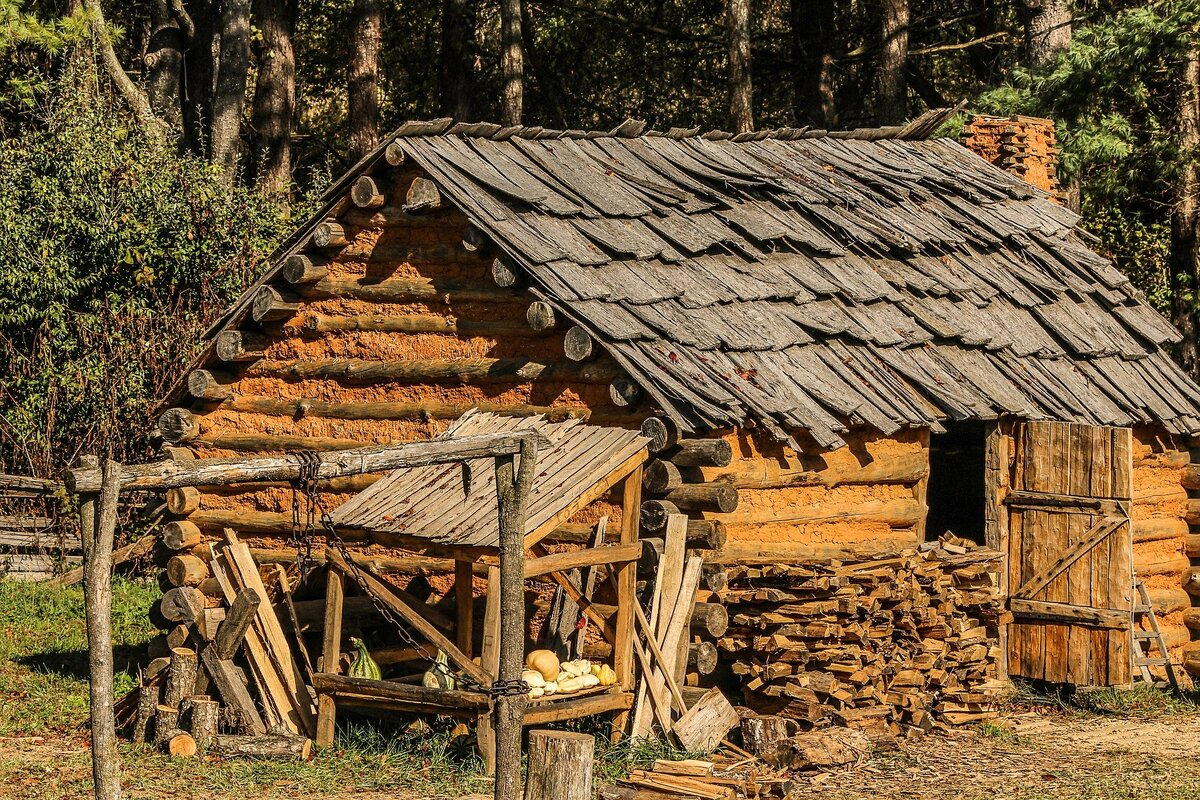 Фото: pixabay.com