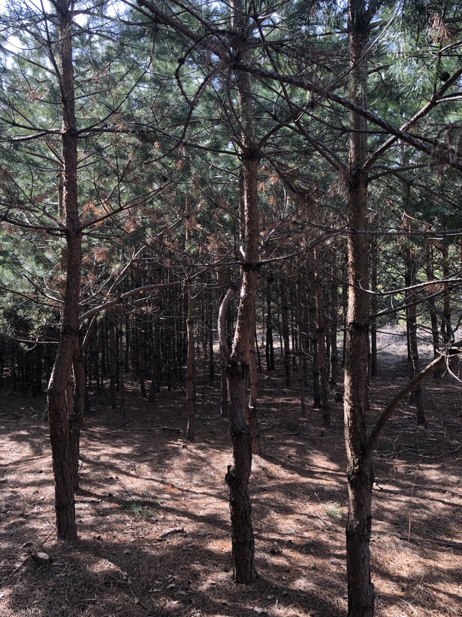 Фото из личного архива