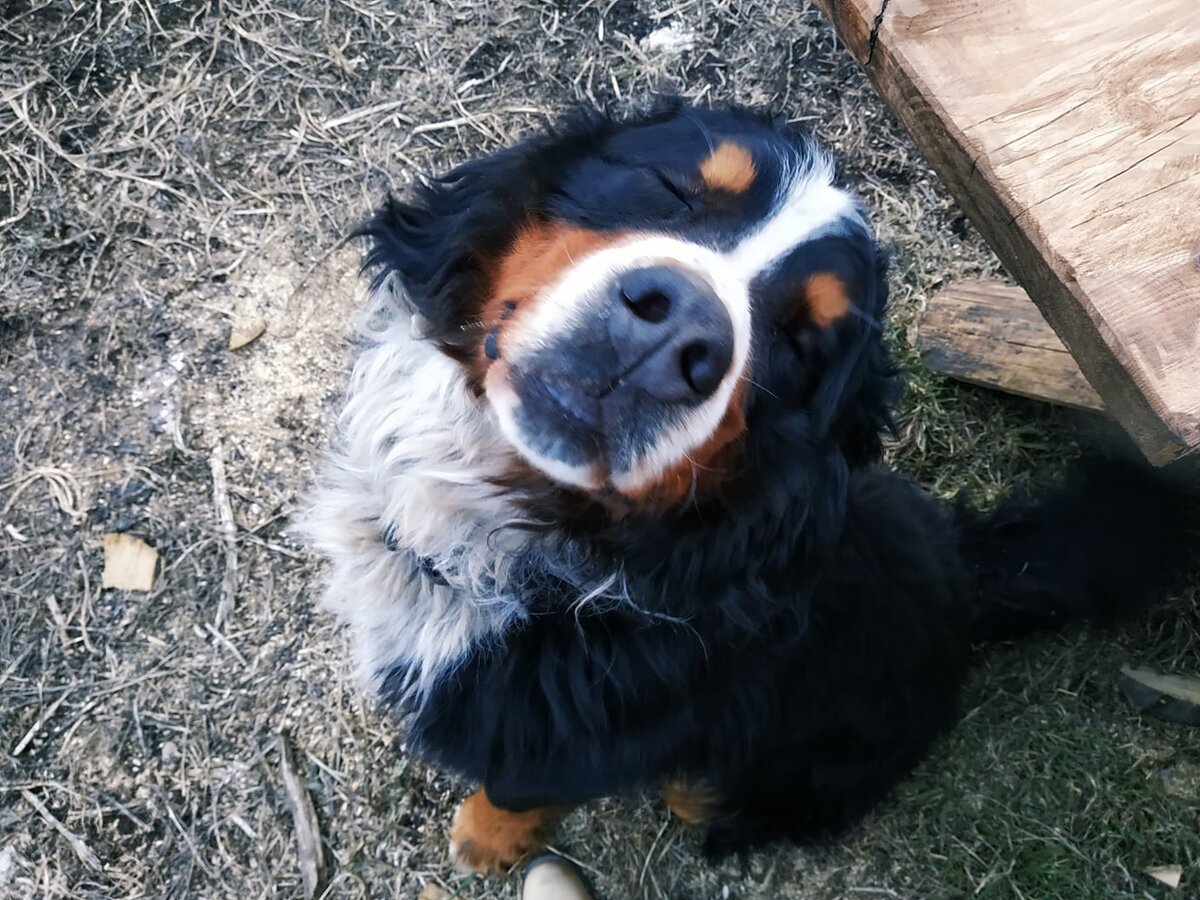 Вот он — наш Хан!