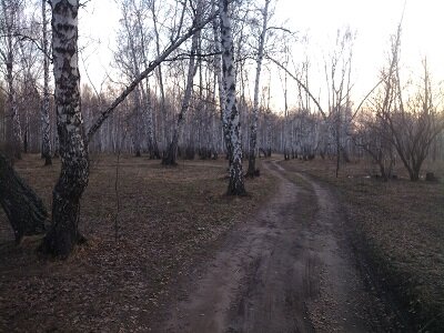 весенний лес