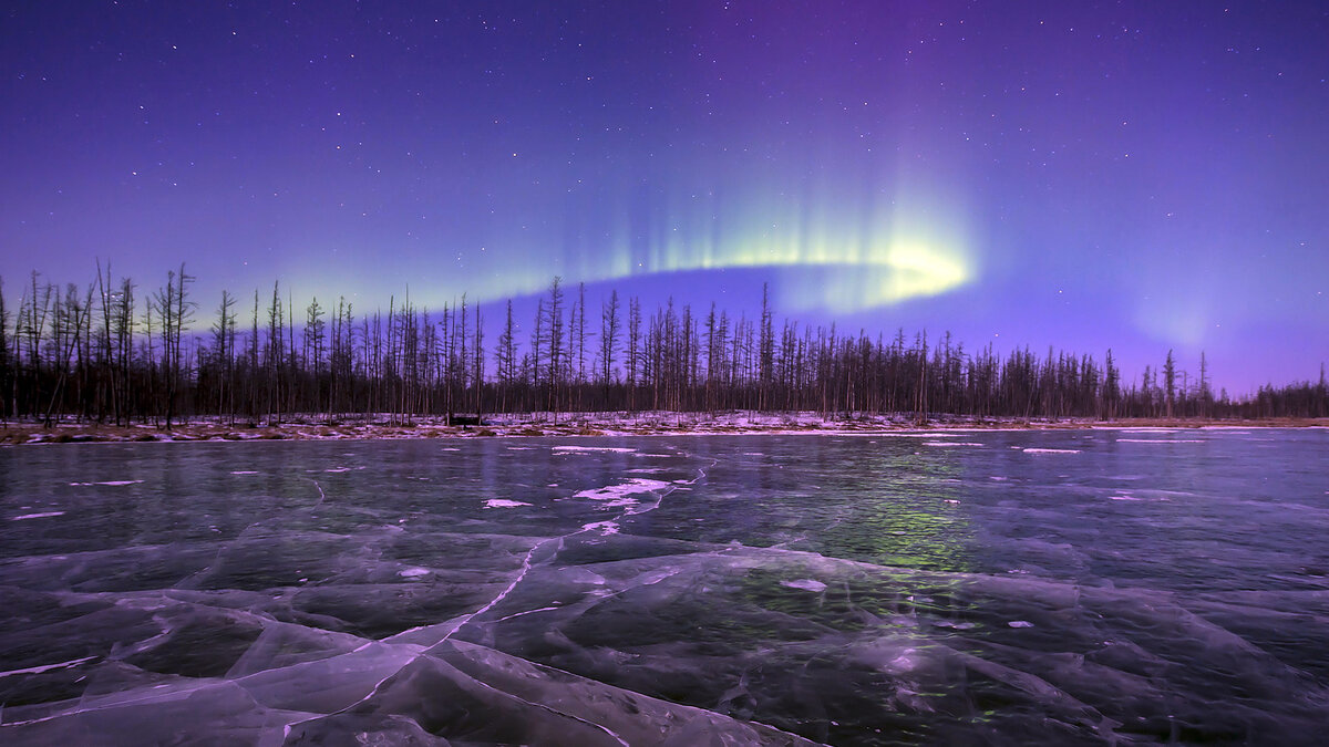 фото мир северная