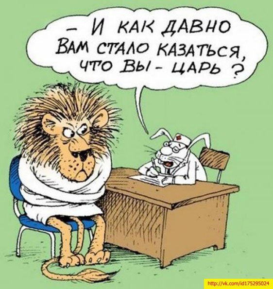 Яндекс картинки