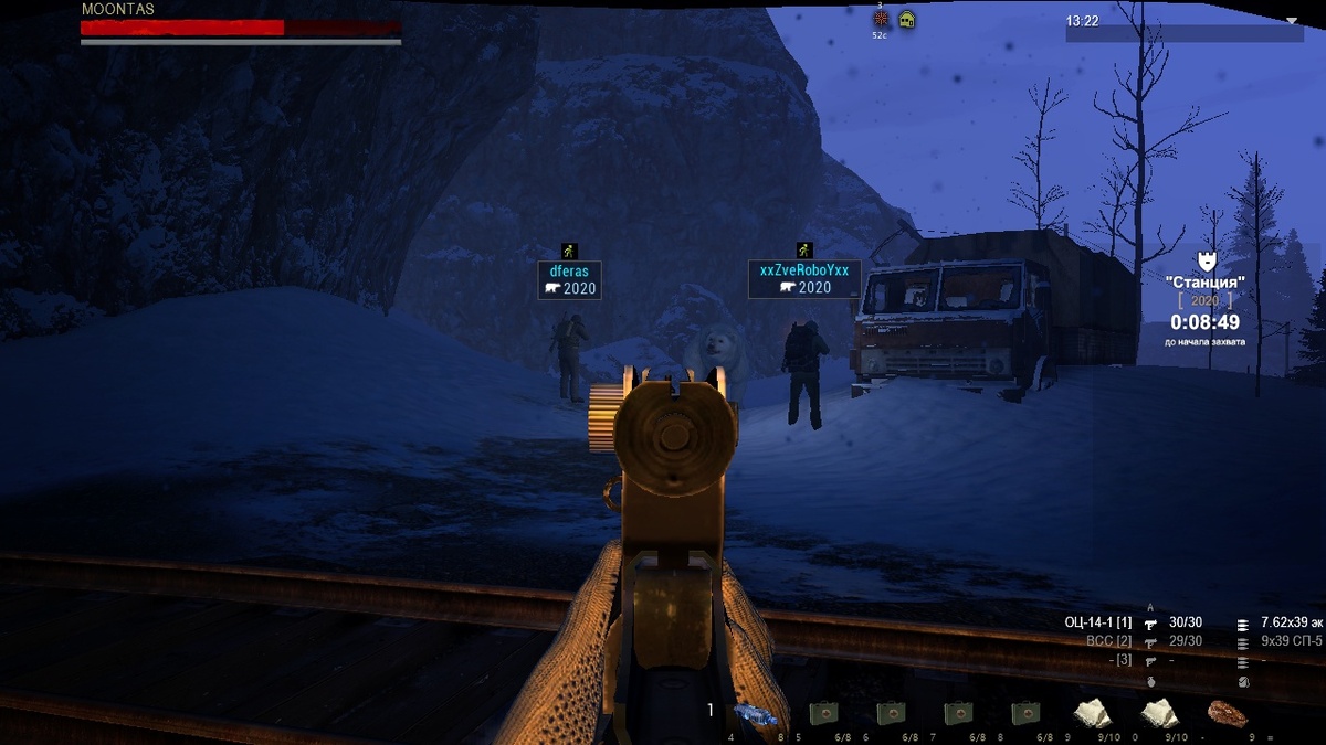 белый медведь.