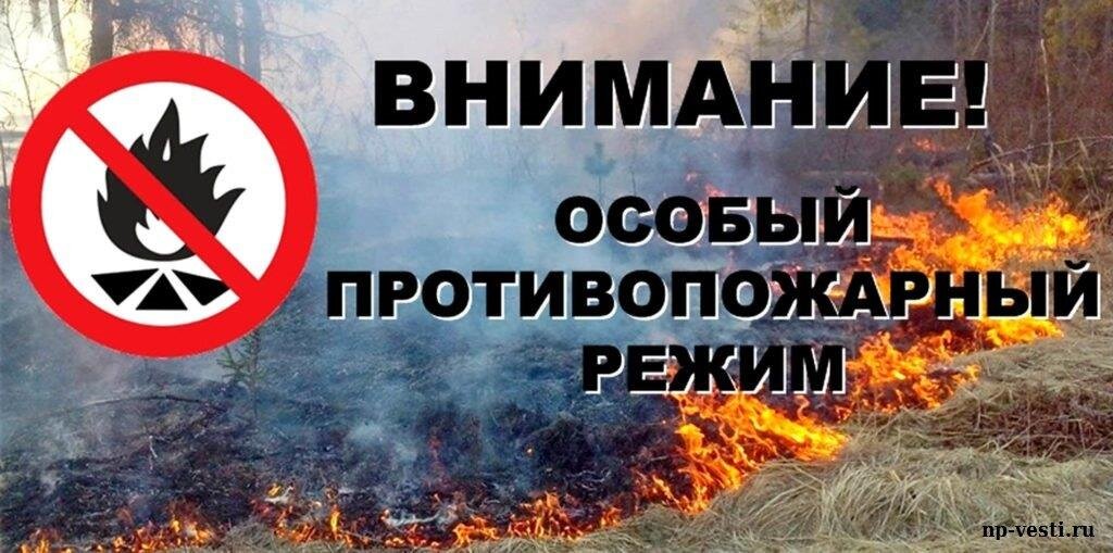 Противопожарный режим памятка для населения. Введен противопожарный режим. Противопожарный режим в москве. Противопожарный режим в москве. Памятка особый противопожарный режим.