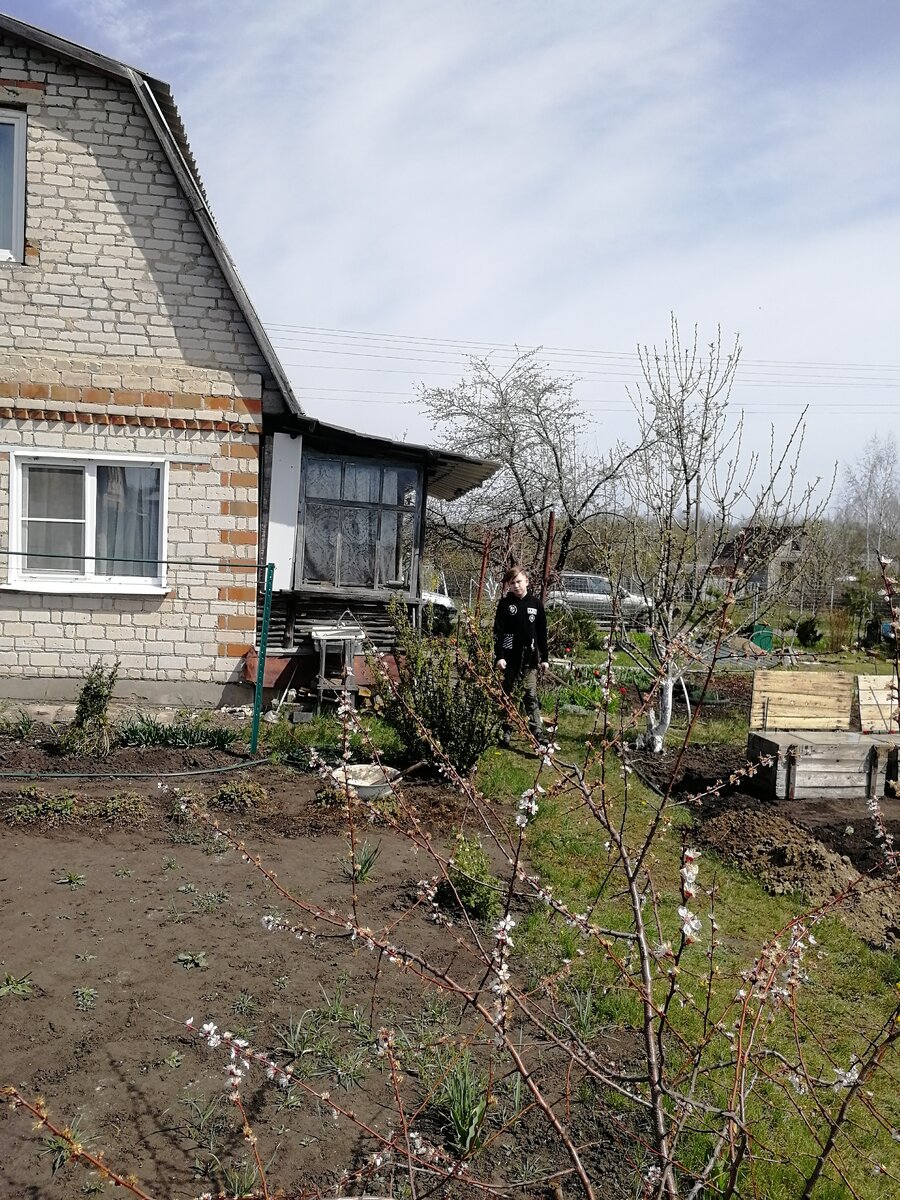 Обычная дача в средней полосе. Благоустроенные 12 соток, небольшой, но уютный дом. И мой скучающий сын. 