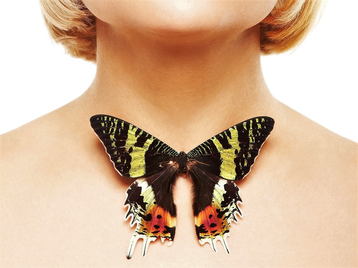 Народная Медицина 23