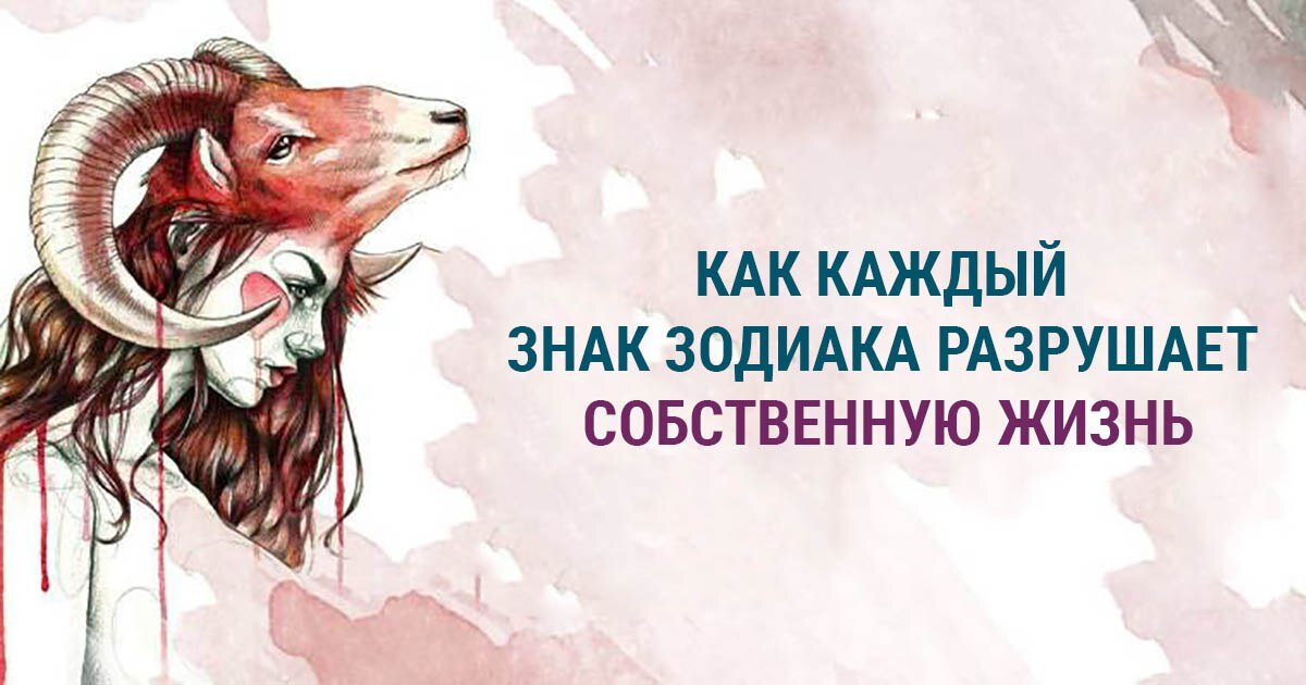 Фото с сайта xochu-vse-znat.ru