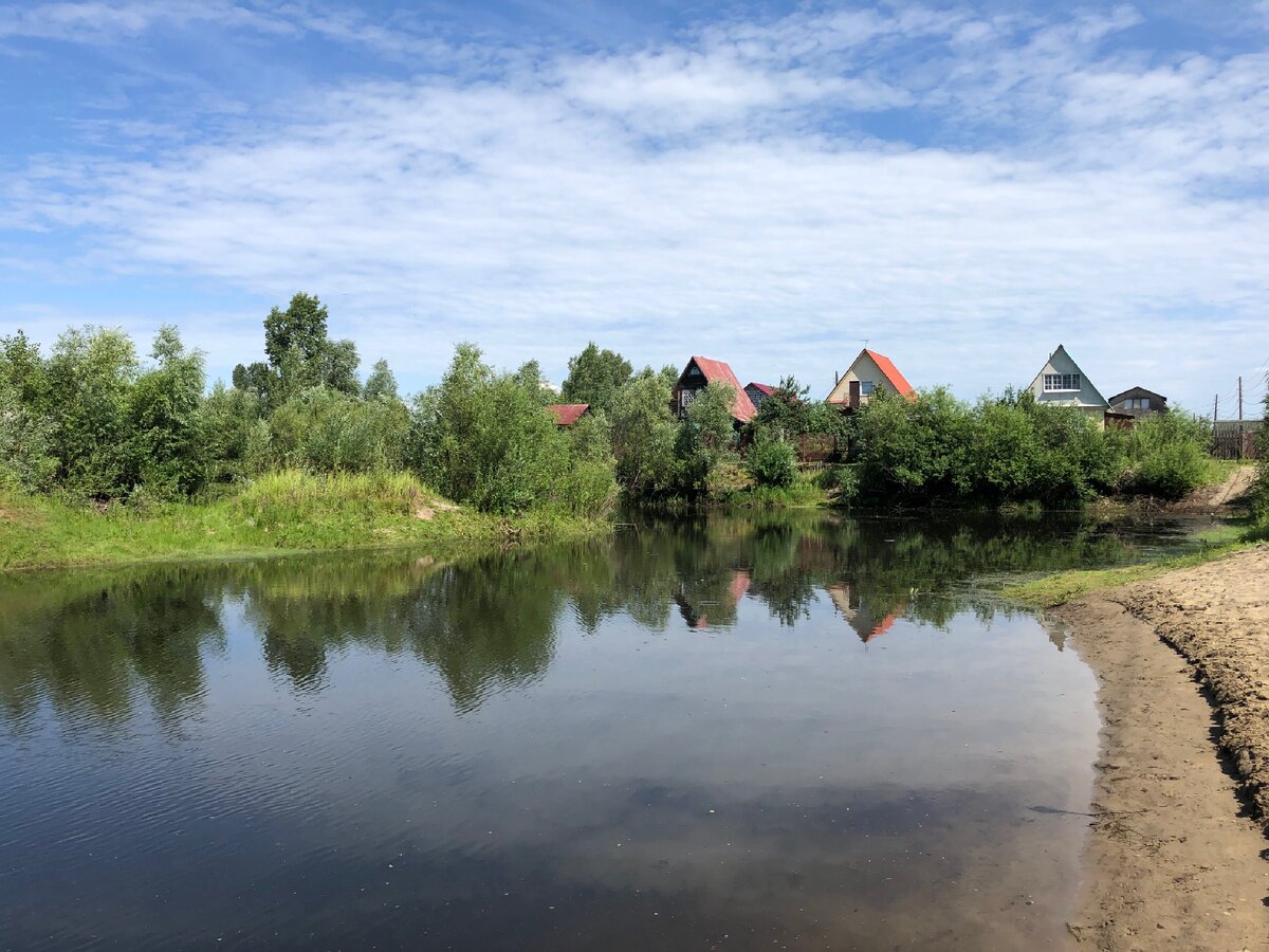 Мои прогулки на велосипеде. Фото автора
