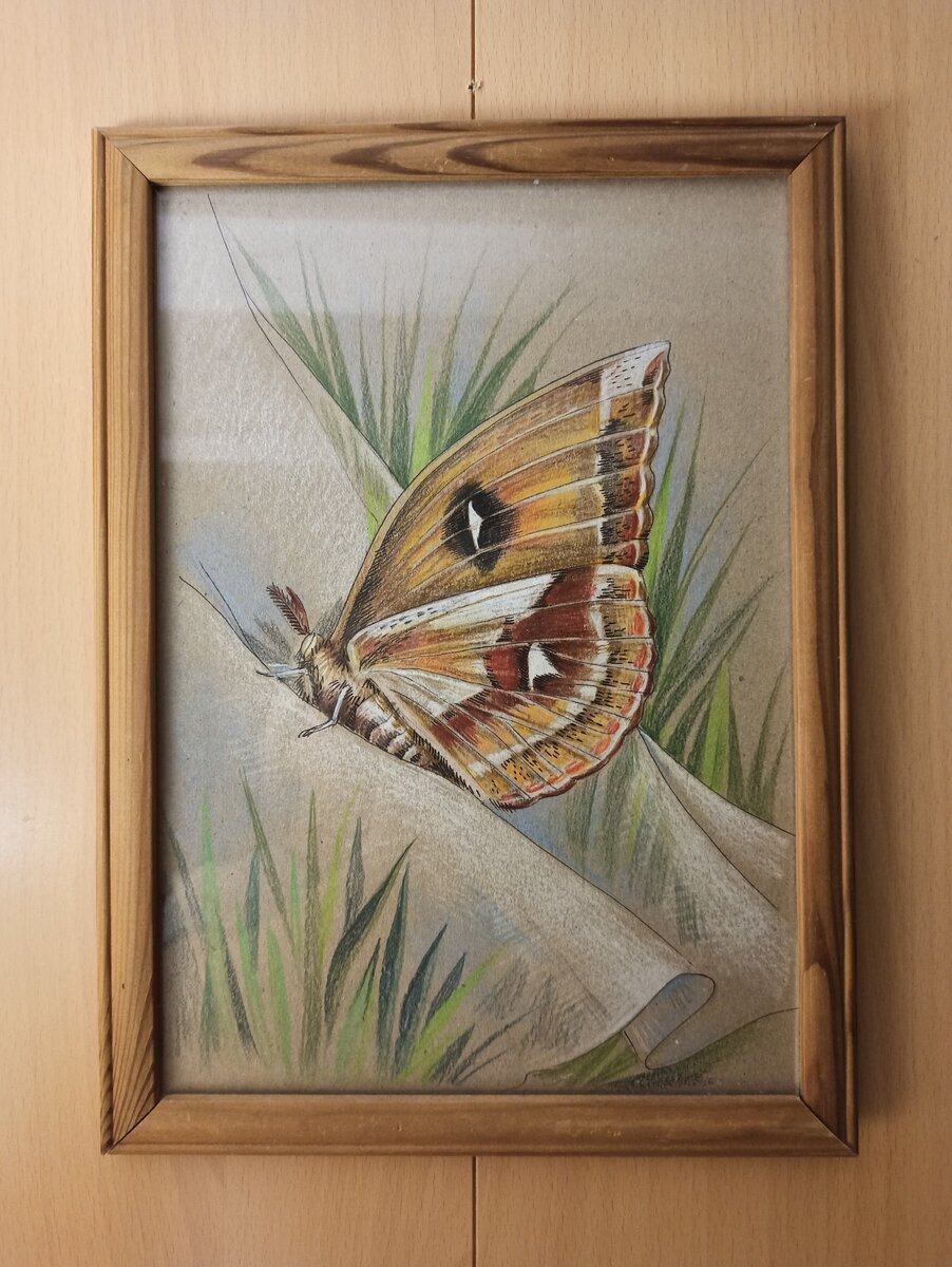 фото работы автора