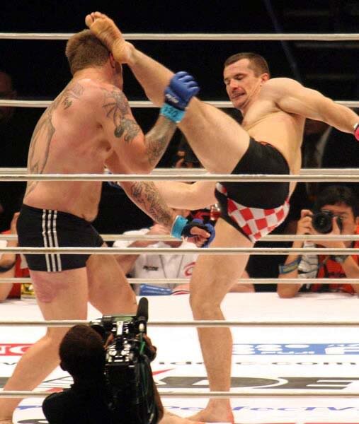 Картинка 1. Хай-кик от Мирко Крокопа