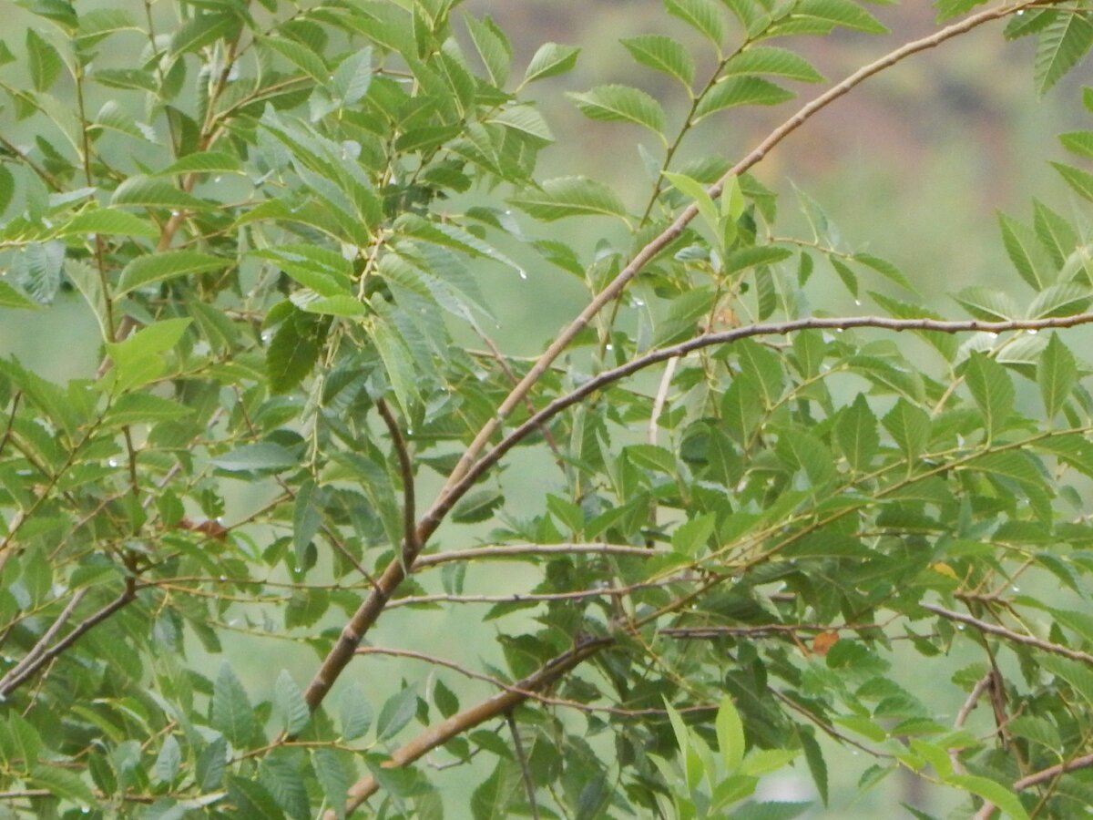 Фото автора статьи